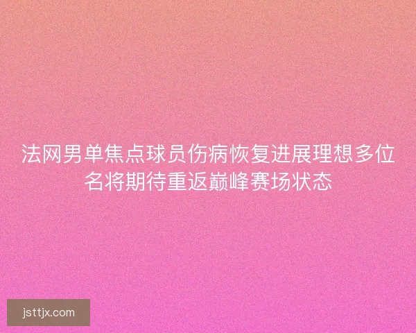 法网男单焦点球员伤病恢复进展理想多位名将期待重返巅峰赛场状态